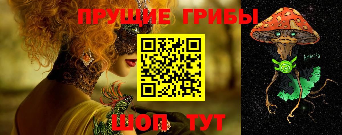Сарапул  Псилоцибиновые грибы GOLDEN TEACHER  Вход с VPN  Галлюциногенные грибы Psilocybine cubensis 